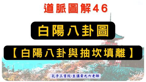 白陽八卦圖|46道脈圖解